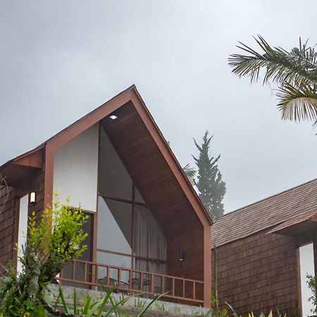 Selemadeg Catu Glamping Bedugulヴィラ エクステリア 写真